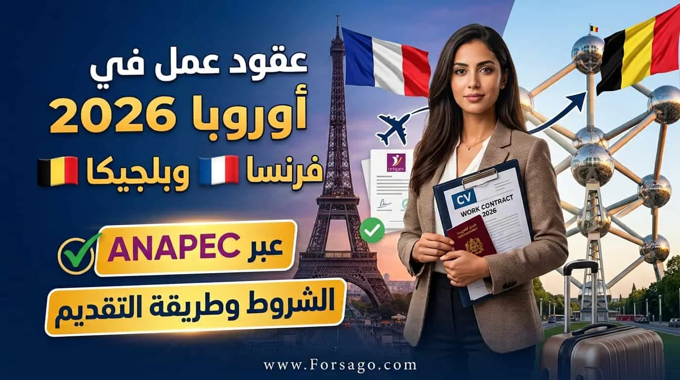 عقود عمل بفرنسا وبلجيكا 2026 عبر ANAPEC: الشروط وطريقة التقديم