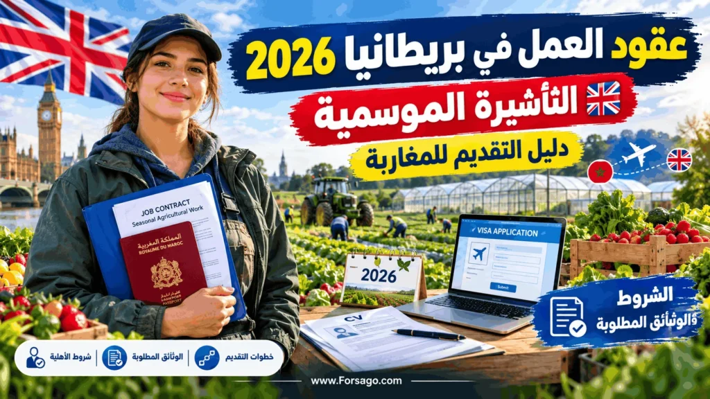 جديد عقود العمل بالمملكة المتحدة 2026 | دليل التقديم على التأشيرة الموسمية للمغاربة